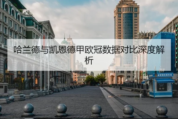 哈兰德与凯恩德甲欧冠数据对比深度解析